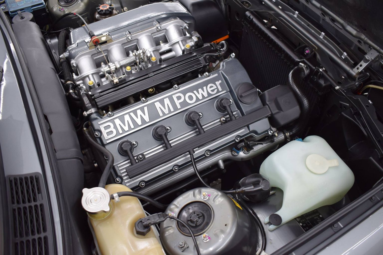 Engine bay after intensive treatment